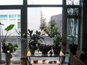 Artspace Lofts